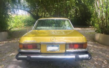 Mercedes-Benz-Other-1976-Sedan-3