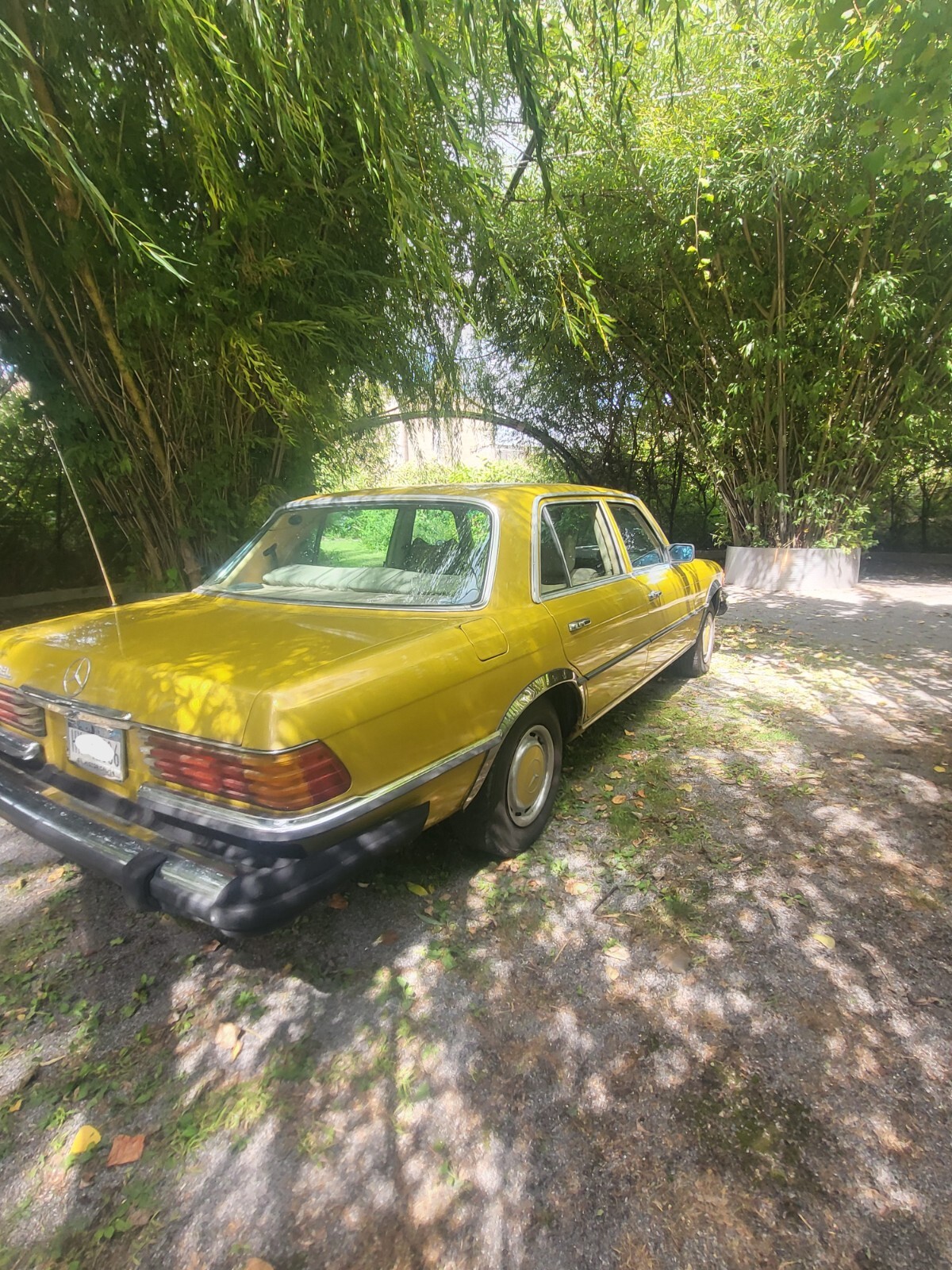 Mercedes-Benz-Other-1976-Sedan-4