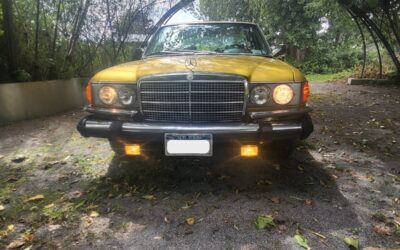 Mercedes-Benz Other 1976 Sedan