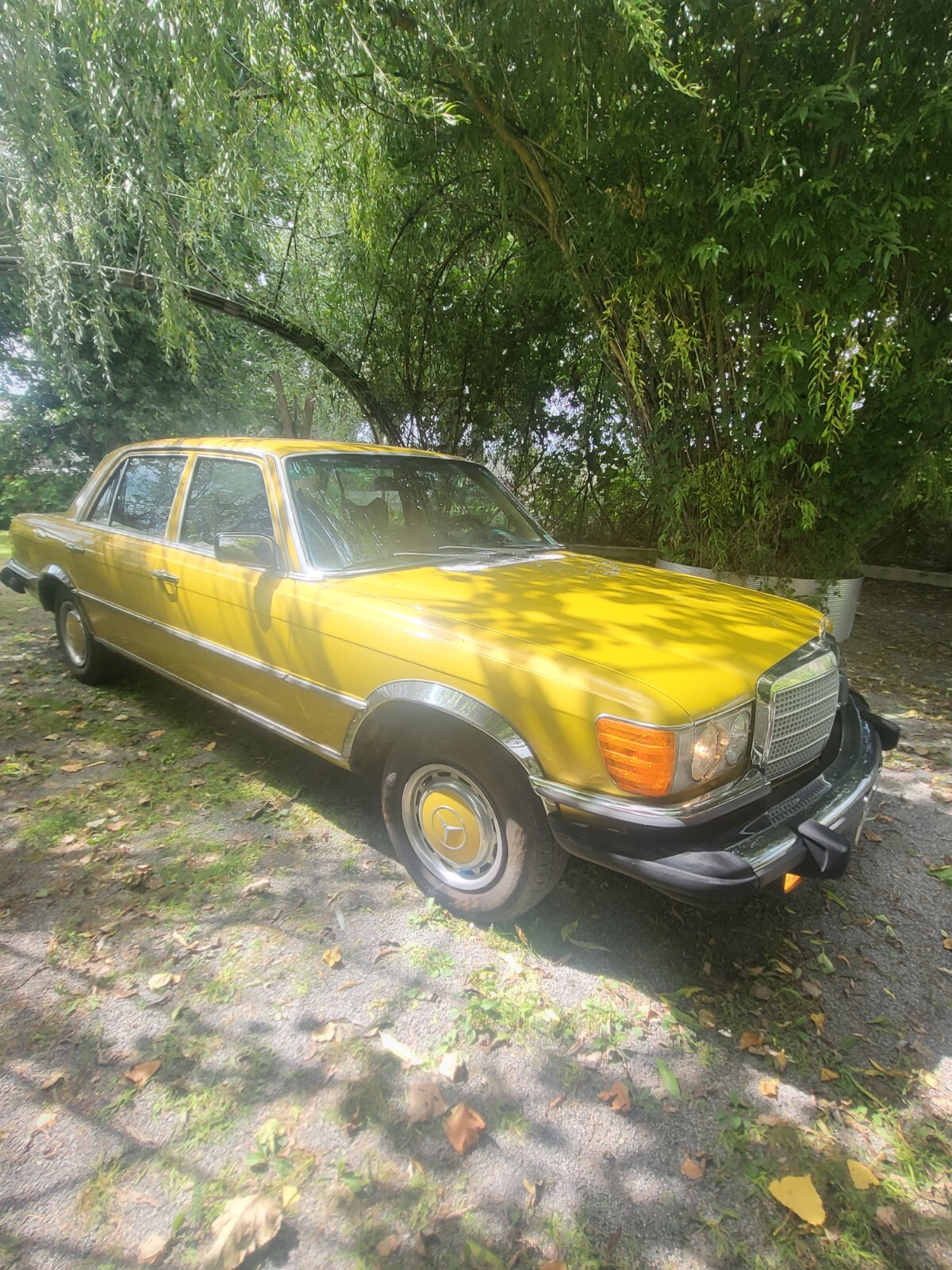 Mercedes-Benz-Other-1976-Sedan-6