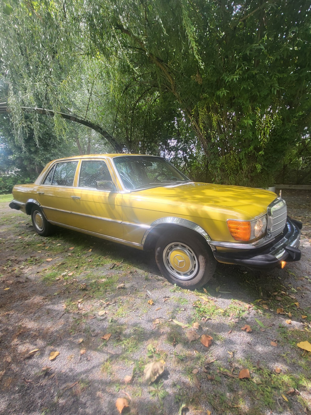 Mercedes-Benz-Other-1976-Sedan-7