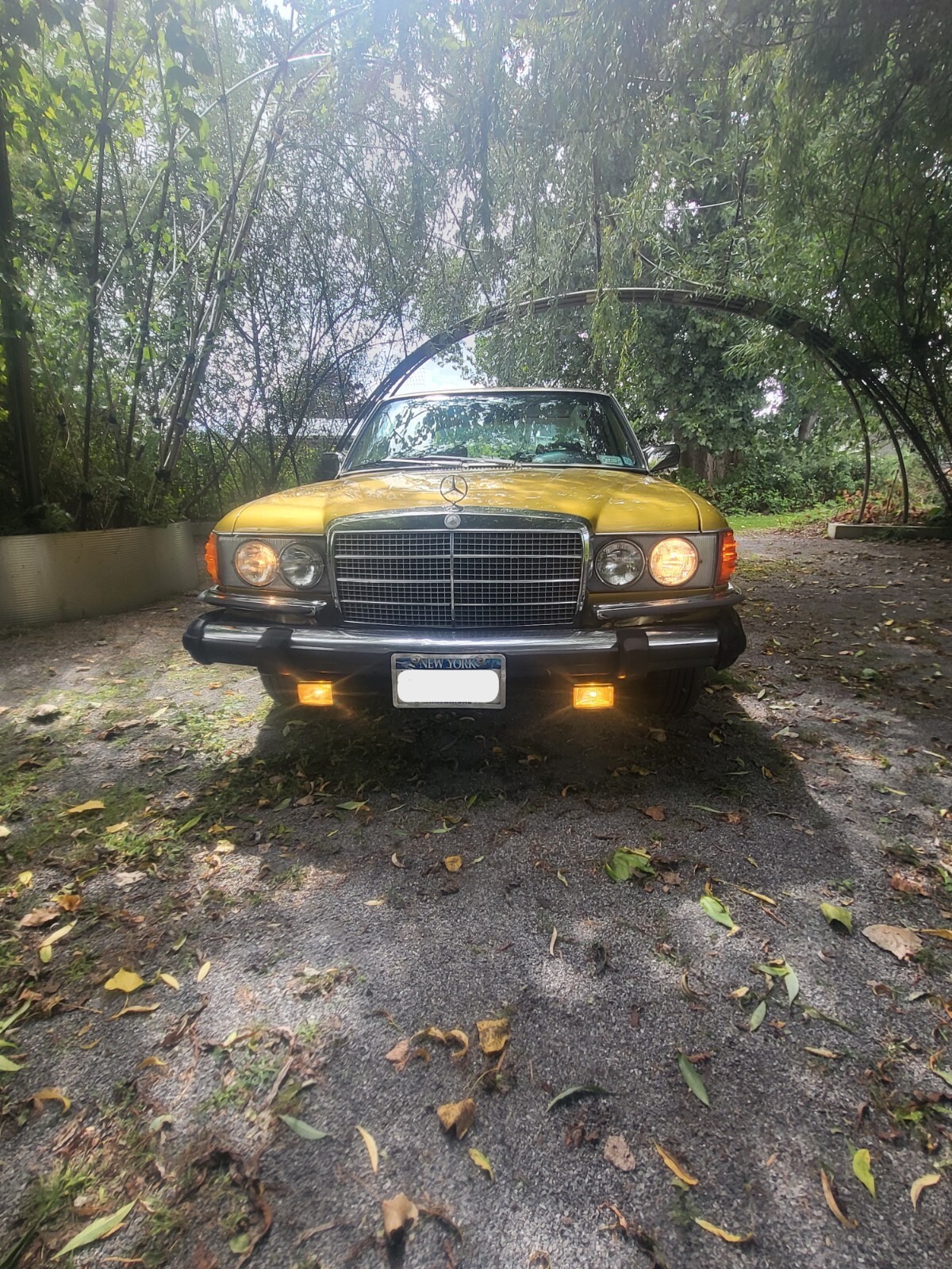 Mercedes-Benz-Other-1976-Sedan