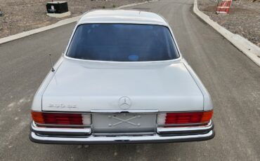 Mercedes-Benz-S-Class-1977-Sedan-14