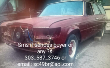 Mercedes-Benz-S-Class-1978-Wagon-2