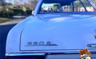 Mercedes-Benz-SL-Class-1965-Convertible-29