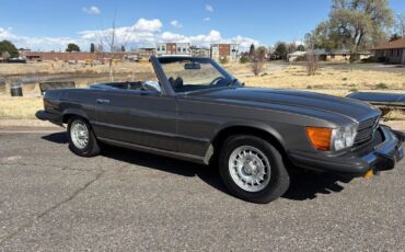 Mercedes-Benz-SL-Class-1974-35