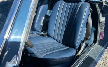 Mercedes-Benz-SL-Class-1974-Convertible-8