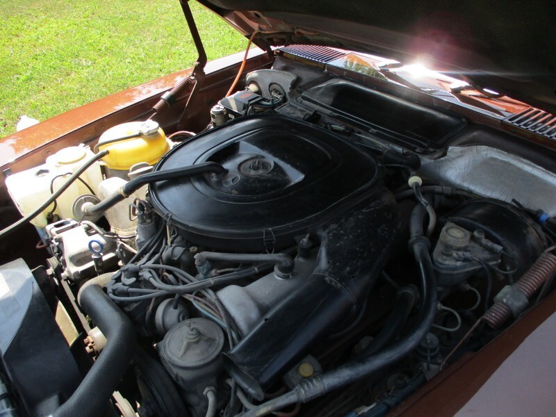 Mercedes-Benz-SL-Class-1979-Convertible-1