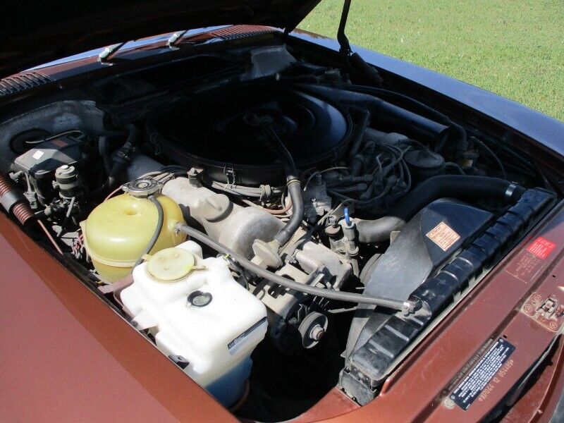 Mercedes-Benz-SL-Class-1979-Convertible-19