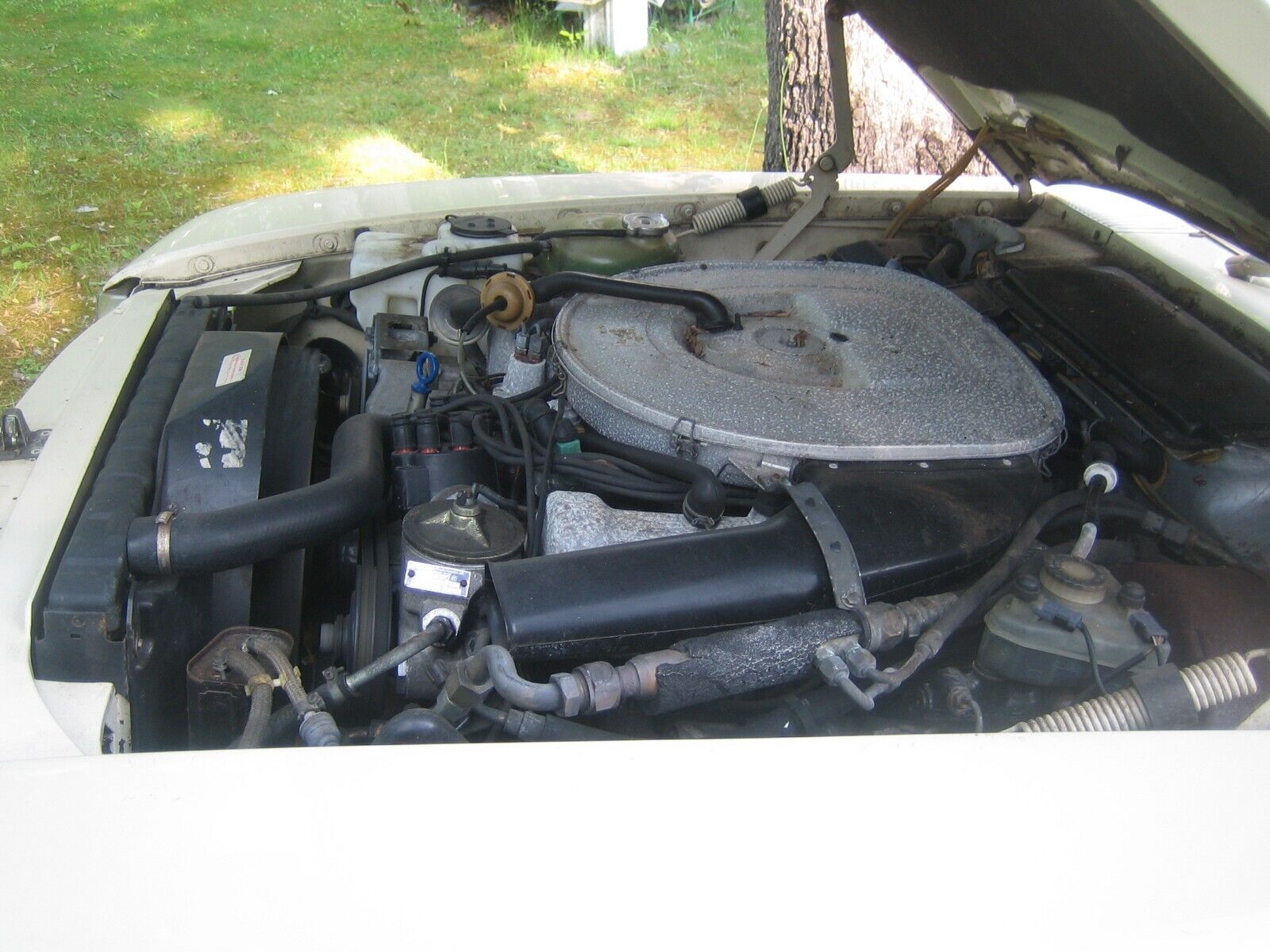 Mercedes-Benz-SL-Class-1980-Convertible-3