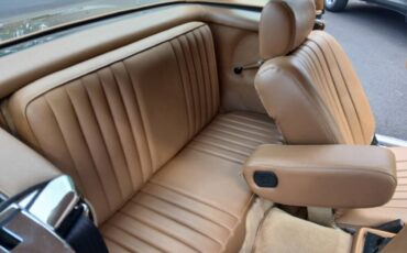 Mercedes-benz-1981-blue-6