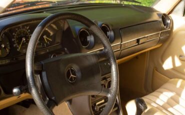 Mercedes-benz-230e-1980-orange-21