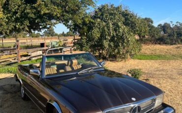 Mercedes-benz-Benz-380sl-1982-brown-10