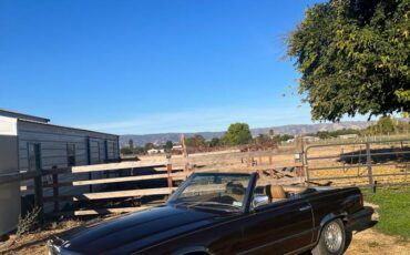 Mercedes-benz-Benz-380sl-1982-brown-11