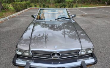 Mercedes-benz-Benz-560sl-1986-grey-10