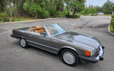 Mercedes-benz-Benz-560sl-1986-grey-17