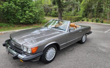 Mercedes-benz-Benz-560sl-1986-grey-18