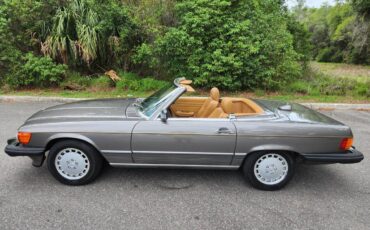 Mercedes-benz-Benz-560sl-1986-grey-22