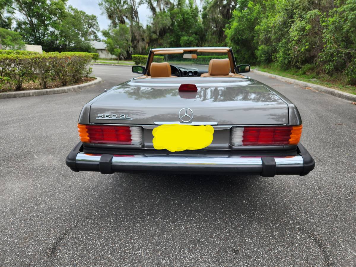 Mercedes-benz-Benz-560sl-1986-grey-23