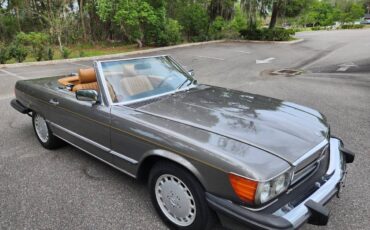 Mercedes-benz-Benz-560sl-1986-grey