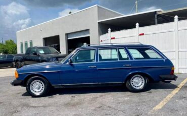 Mercedes-benz-benz-300-diesel-1983-blue-1