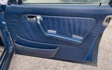 Mercedes-benz-benz-300-diesel-1983-blue-20