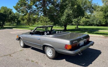 Mercedes-benz-benz-450-sl-1974-grey-10