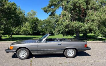 Mercedes-benz-benz-450-sl-1974-grey-2