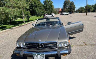 Mercedes-benz-benz-450-sl-1974-grey-3