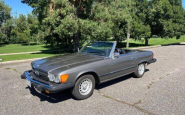 Mercedes-benz-benz-450-sl-1974-grey