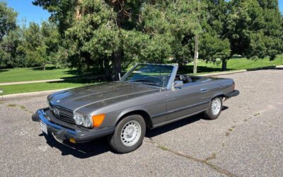 Mercedes-benz -benz 450 sl  1974 grey