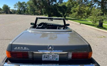 Mercedes-benz-benz-450-sl-1974-grey-7