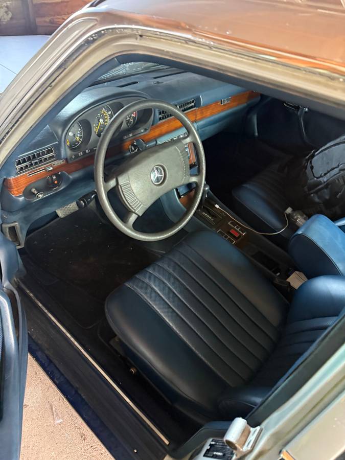 Mercedes-benz-benz-s-class-1979-silver-9