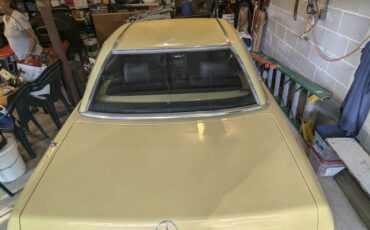Mercedes-benz-benz-s-class-1981-yellow-2