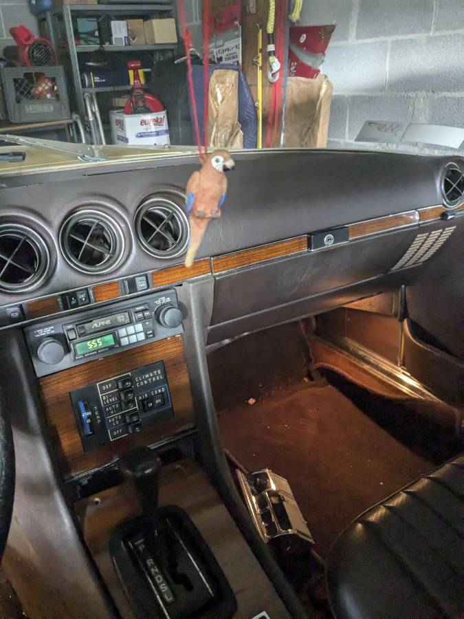 Mercedes-benz-benz-s-class-1981-yellow-5