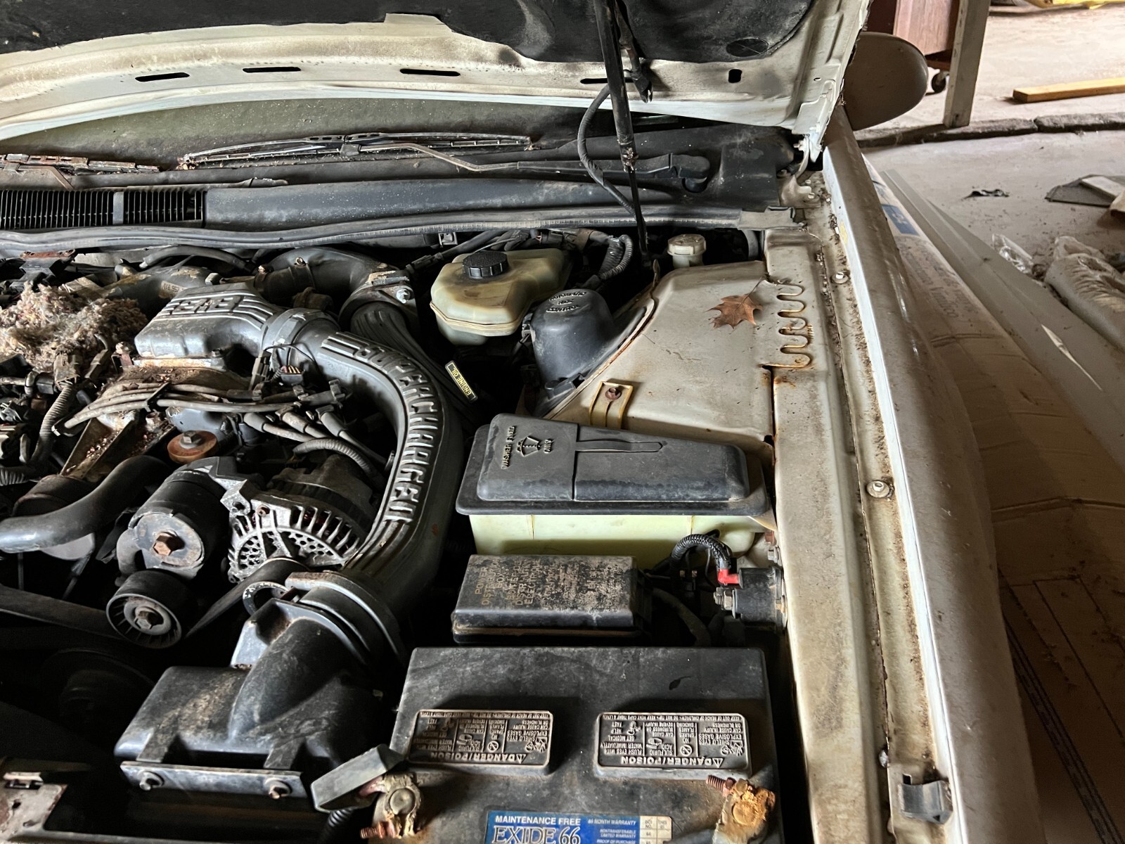 Mercury-Cougar-1990-Coupe-7