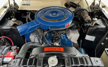 Mercury-Cyclone-1969-Fastback-35