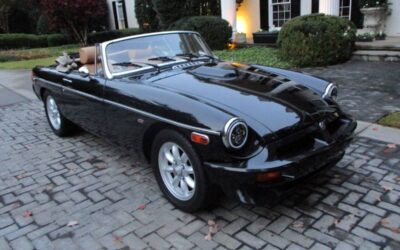 Mg B  1980