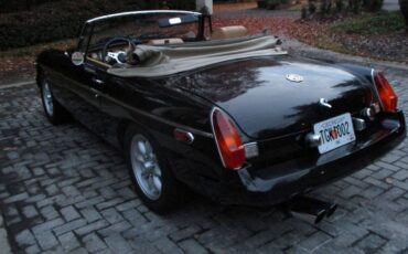 Mg-B-1980-8