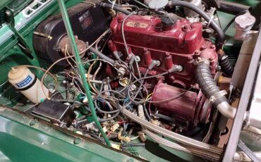 Mg-B-gt-1967-green