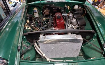Mg-B-gt-1967-green-6