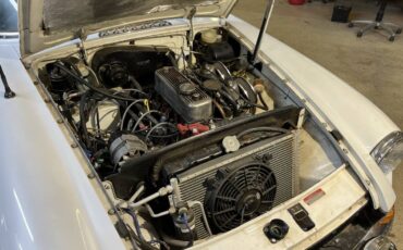 Mg-B-gt-1971-white-11