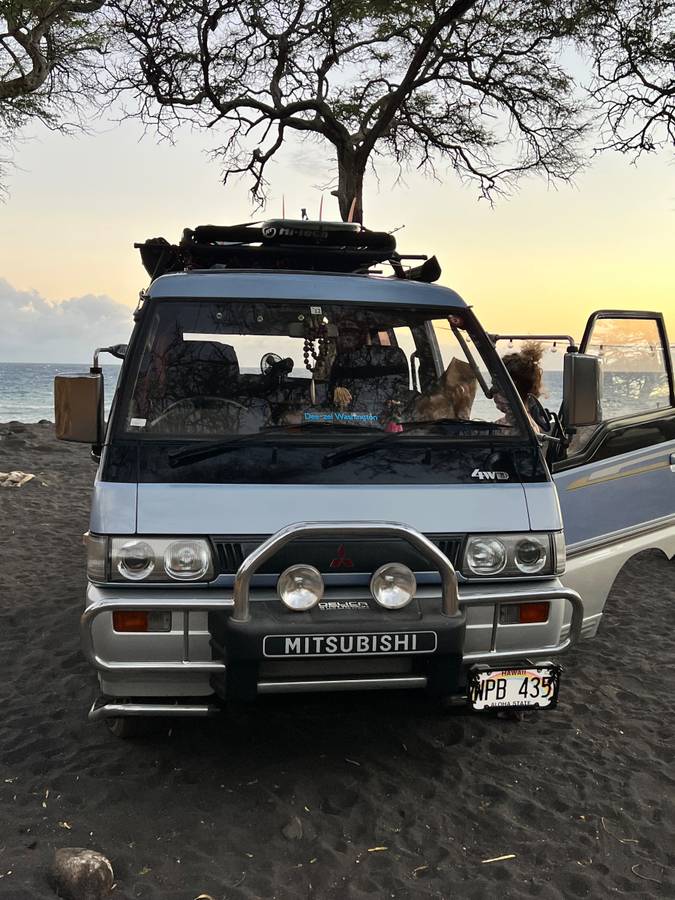 Mitsubishi-Delica-l300-diesel-1992-blue-10