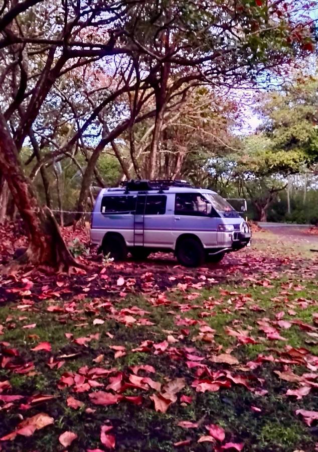 Mitsubishi-Delica-l300-diesel-1992-blue-2