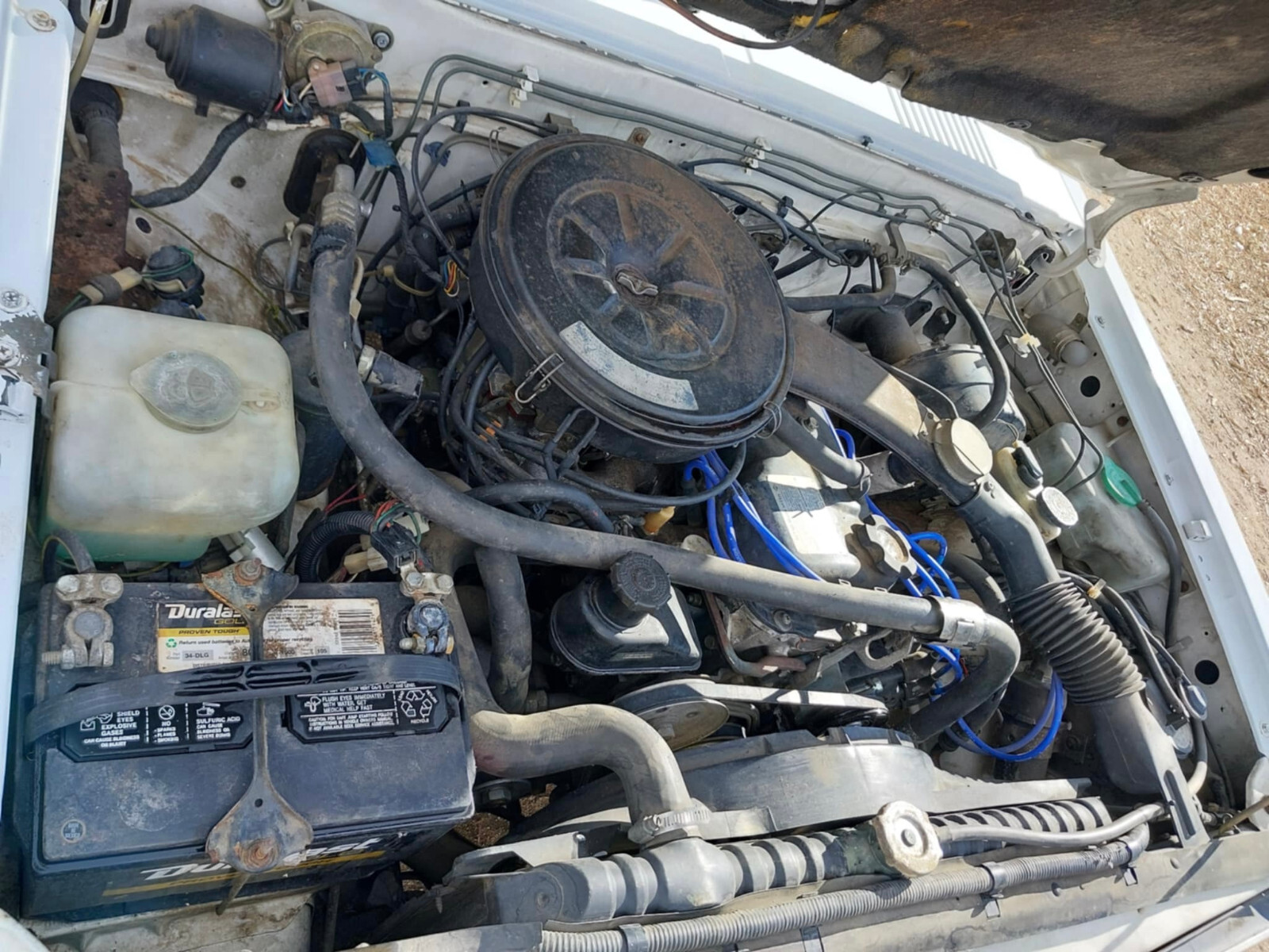 Nissan-Other-Pickups-1984-Extended-Cab-Pickup-10