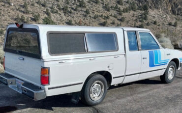 Nissan-Other-Pickups-1984-Extended-Cab-Pickup-8