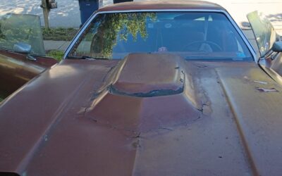 Oldsmobile Cutlass 1977 Coupe
