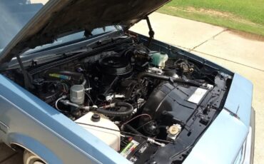 Oldsmobile-Cutlass-1981-7