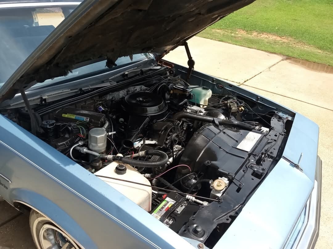 Oldsmobile-Cutlass-1981-7