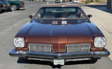Oldsmobile-Restomod-ls3-1973-brown-2